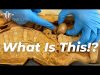 5 Craziest Things I’ve Found In Dead Bodies