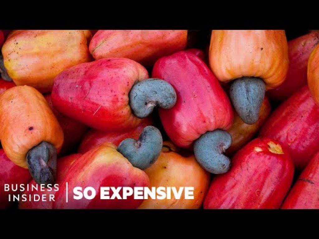 Why Cashew Nuts Are So Expensive | So Expensive