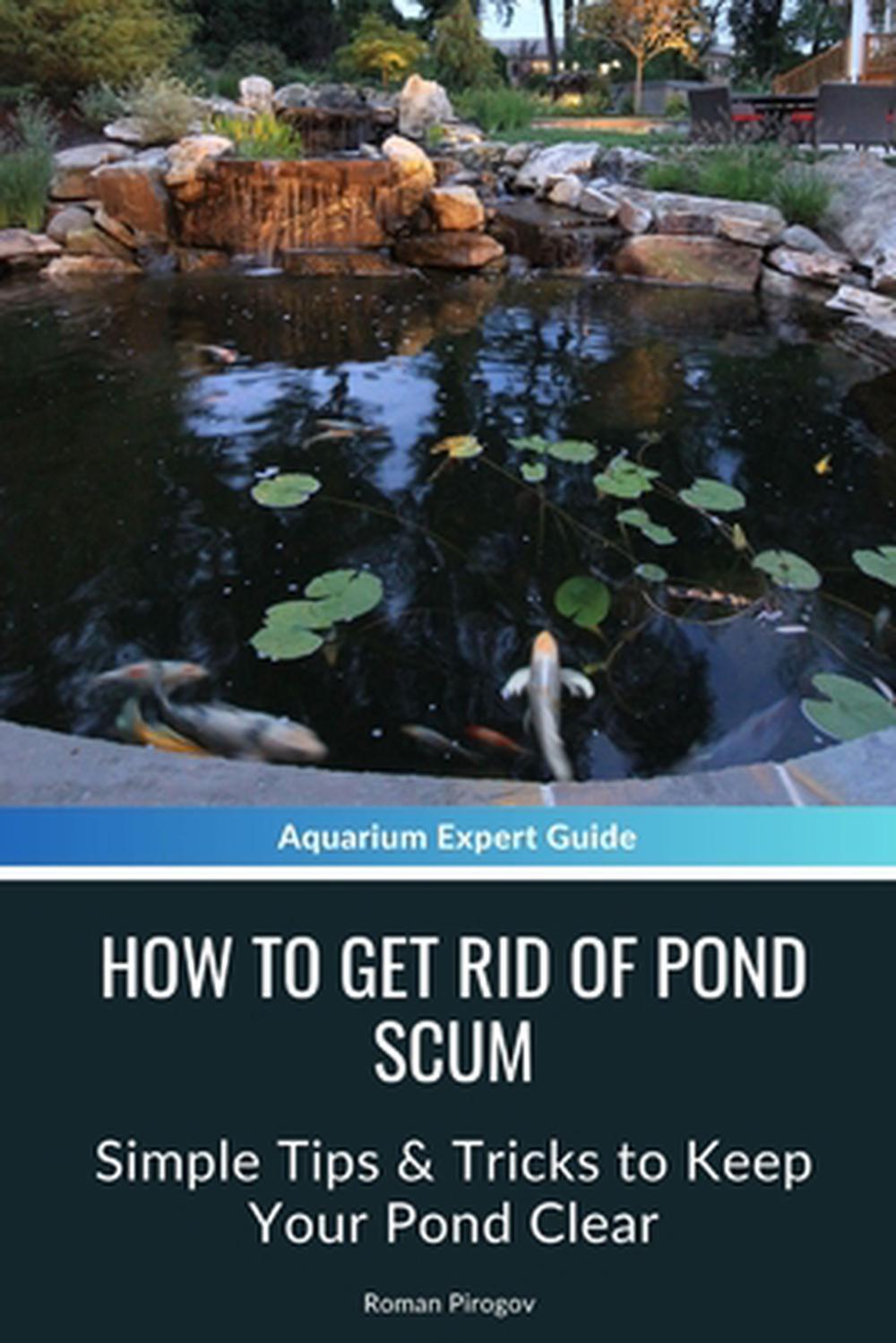 How to Get Rid of Pond Scum: Simple Tips & Tricks to Keep Your Pond Clear by Rom