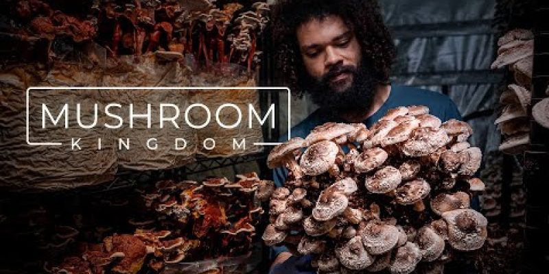 Cultivating Gourmet and Medicinal Mushrooms