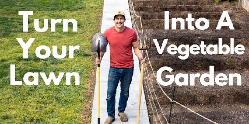 How To Turn Your Lawn Into A Vegetable Garden