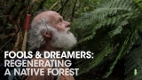 Man Spends 30 Years Regenerating Farmland into Amazing Forest | Fools & Dreamers (Full Documentary)