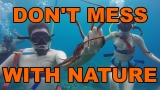 Don’t Mess With Nature Compilation