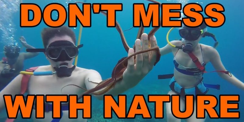 Don’t Mess With Nature Compilation