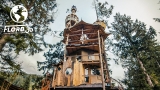 This Fairytale Treehouse will make you Relive your Childhood Dreams