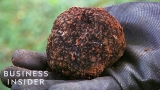 Why Real Truffles Are So Expensive