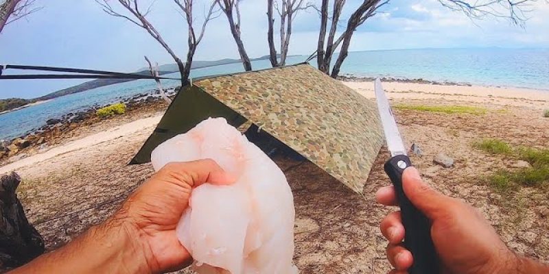 Living From The Ocean… Solo Beach Camping On An Uninhabited Island – Day 2