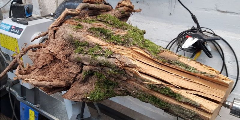 Woodturning – Hawthorn Root Lamp