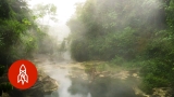 The Amazon’s Boiling River Kills Anything That Enters