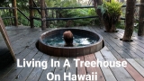 Living In A Treehouse in Hawaii