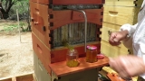 Harvesting Honey From A FLOW HIVE & Thoughts & Impressions of the Flow Hive