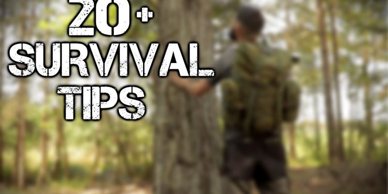 20 Wilderness Survival Tips and Bushcraft Skills