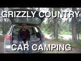 Car Camping In Grizzly Country