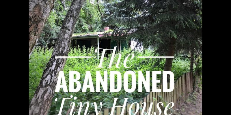 Renovating an abandoned tiny house Part 1