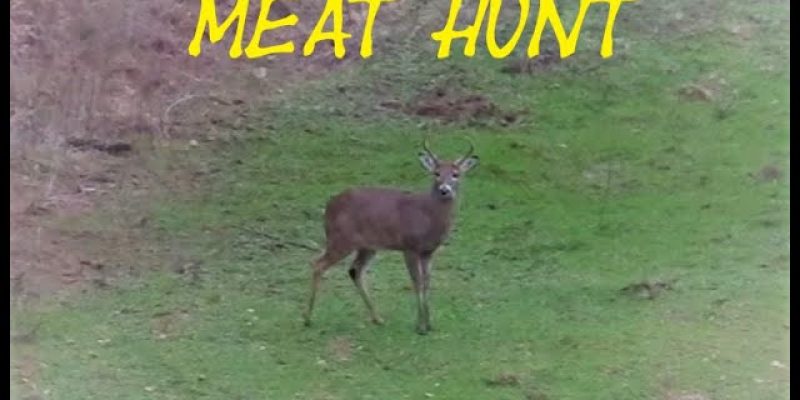 Central Alabama Deer Hunting – Meat Run 1.0