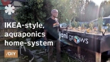 Eric Maundu’s home-aquaponics can grow veggies & fish anywhere
