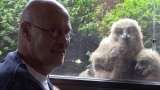 Man shares apartment with family of huge owls