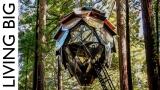 The Pinecone Treehouse: A Spectacular Tiny Home In The Trees