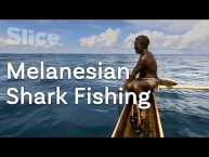 Bare-handed shark fishing