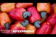 Why Cashew Nuts Are So Expensive