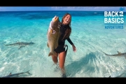 DAY 85: Sharks Really Wanted This Fish!