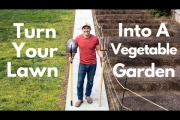How To Turn Your Lawn Into A Vegetable Garden