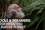Man Spends 30 Years Regenerating Farmland into Amazing Forest | Fools & Dreamers (Full Documentary)