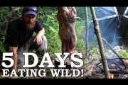 5 DAYS eating ONLY WILD FOODS! | Survival Challenge | The Wilderness Living Challenge 2017 SEASON 2