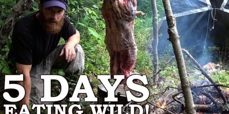 5 DAYS eating ONLY WILD FOODS! | Survival Challenge | The Wilderness Living Challenge 2017 SEASON 2
