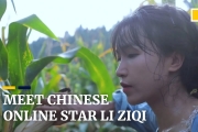 Chinese online star Li Ziqi provides an escape from urban life