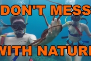 Don’t Mess With Nature Compilation