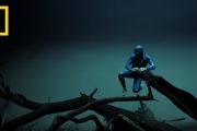 Experience the Underwater World Through the Eyes of a Free Diver | Short Film Showcase