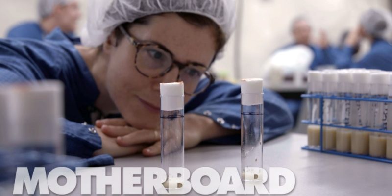 SNOLAB: Inside the Dark Matter Lab Buried Over a Mile Underground