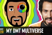 DMT Sent Him Into the Multiverse