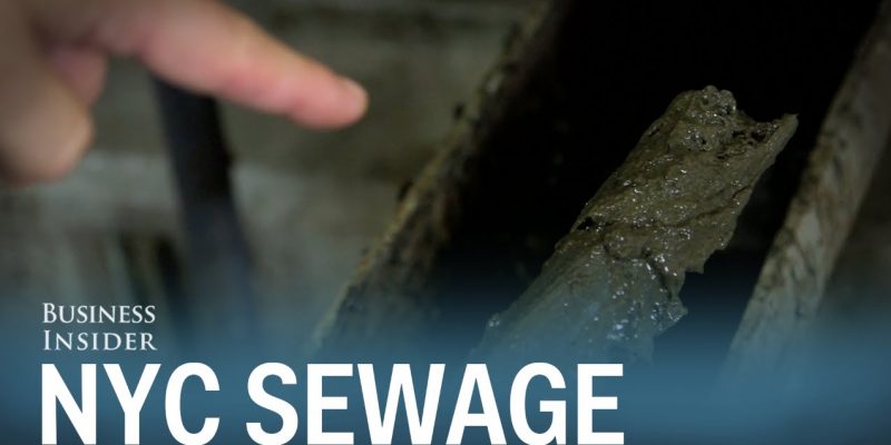 Here’s where New York City’s sewage really goes