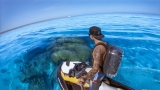 CLEAREST WATER EVER | Catch And Cook