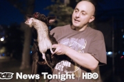 The Vigilante Group Of New Yorkers Who Hunt Rats At Night
