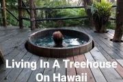 Living In A Treehouse in Hawaii