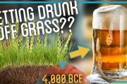 Brewing Beer from Dirt and Grass