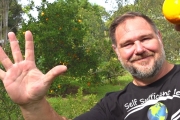 5 Fruit Trees that are too EASY to GROW in the Home Garden