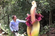 World’s BIGGEST Flowers!
