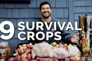 9 Survival Gardening Crops to Grow in a Post Apocalyptic World
