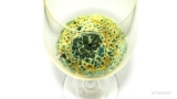 White Wine Time-lapse