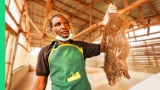 Eating Giant Rat with Miss Nigeria!!