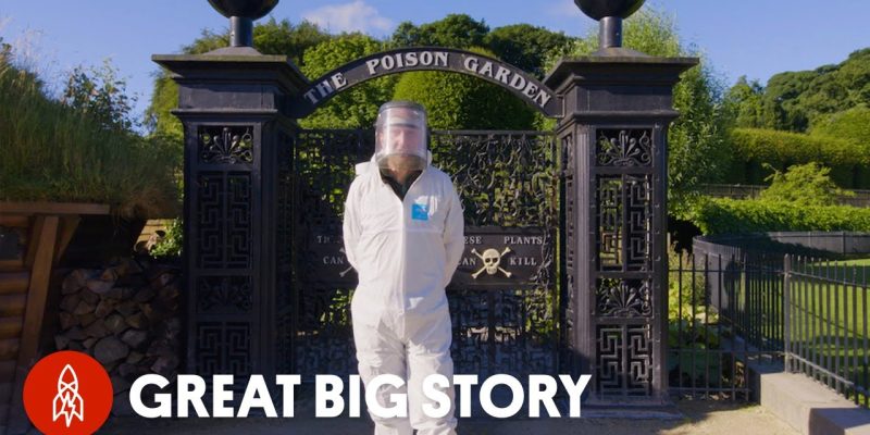 Enter the Deadliest Garden in the World