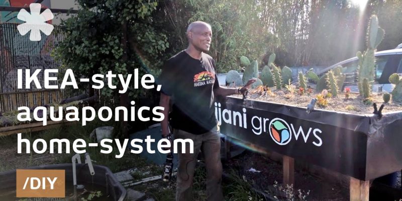 Eric Maundu’s home-aquaponics can grow veggies & fish anywhere
