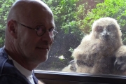 Man shares apartment with family of huge owls