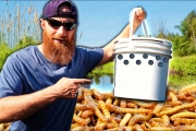 Breeding Maggots in a Tree (Auto Fish ‘Vending Machine’!) | Survival Fishing Challenge