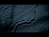 The Blind Assassin of the Desert | Planet Earth II | BBC Earth