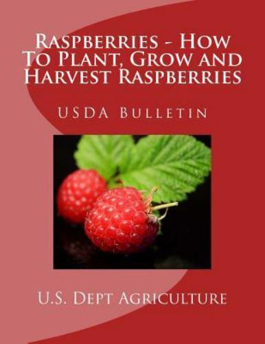 Raspberries - How to Plant, Grow and Harvest Raspberries : Usda Bulletin, Pap...